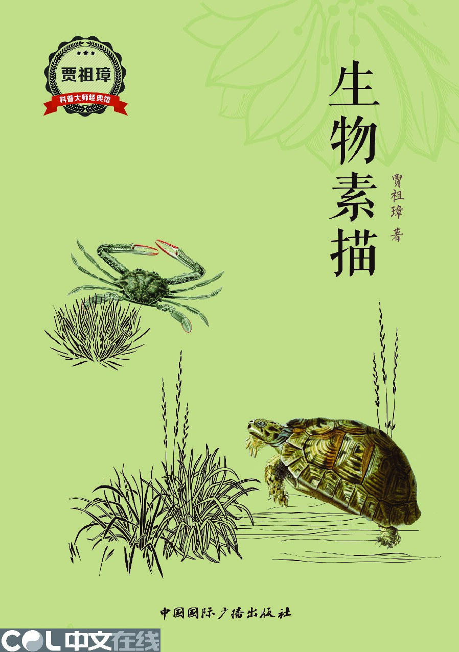 生物素描