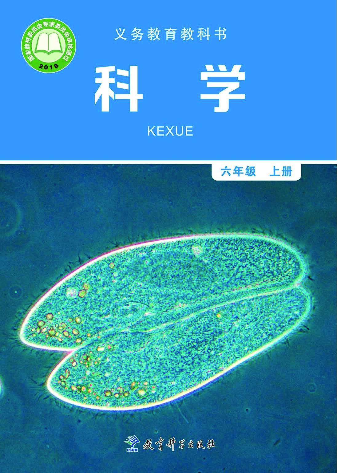 小学科学《教科版》六年级上册